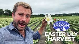 Welcome to the Easter Lily Capital of the World