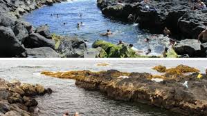Check spelling or type a new query. Swimming In The 10 Top Natural Pools On The Azores Ecobnb