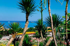 Shipping costs / shipping cost germany, letter germany, large letter germany, package up to 31kg eu, letter eu, large letters up to 500 gr eu, large letters from 500 gr eu, package up to 5kg eu, package up to 10kg. Die Poseidon Garten Therme Poseidon Garten Ischia Thermen Pools Gesundheitszentrum Medizinische Therapien Ganzheitliche Therapien Kosmetische Behandlungen