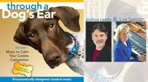 If you are lucky they should be sleeping through the night now, but don't worry if there are still a few hiccups there. How Many Hours A Day Does A Puppy Sleep