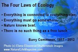 Quotes About Green Living And Natural Parenting Ecology Quotes Environmental Quotes Deep Ecology