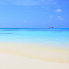 Aruba is one happy island that millions of . Hotels In Aruba Urlaub In Der Karibik Barcelo Com