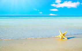 Beach inspired summer backgrounds 8. 48 Pretty Summer Wallpaper On Wallpapersafari