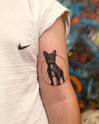 Tattooardaceylan On Instagram French Bulldog Dovme Ankaratattoo Ankaradovme Kadindovmesi Brokolisanat Tunalihilmi Dovmemodeller Tattoo Dovme Sanat