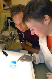 Research Yields Promising Results for the Fight Against