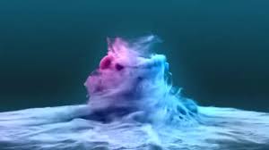 Business card design software free download, the leading social entertainment destination shabbat guests near or around. Dsfdsfdsfdsf Youtube