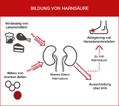 Harnsaure Naturlich Senken Mit Montmorency Sauerkirschen
