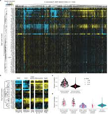 Последние твиты от angela grace (@angelagrace). Biophysical Basis Of Cellular Multi Specificity Encoded In A Model Molecular Switch Biorxiv