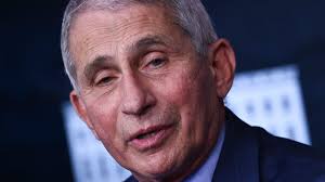 Man pleads guilty to sending threatening emails to Dr. Fauci, Mass. health  official