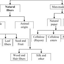 9 fibers classification chart download scientific diagram