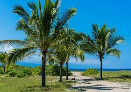 Ministerul turismului a publicat lista agențiilor de turism licențiate. Circuit California Croaziera Hawaii 16 Zile 2017 Rezerva Acum