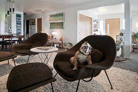 Bulldog In A Womb Chair Mid Century Modern Furniture Mid Century Living Room Mid Century Modern Decor