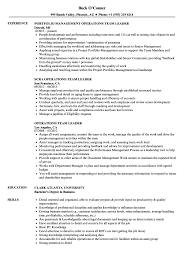 Operations Team Leader Resume Samples Velvet Jobs