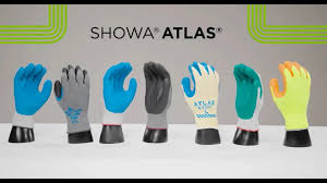 Image result for Atlas 300