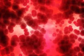 But it also identified seven other cancer types for which no screening tests exist. Grail S Cancer Blood Test Tracks Down Over 50 Types Of Early Stage Disease In Study Fiercebiotech
