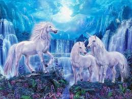 pin von unicornlover549 auf for bonnie einhorn und feen einhorn pferdekunst