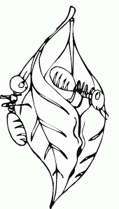 Ant and the grasshopper outline. Ants Coloring Pages Coloring Home