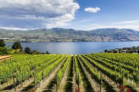 Take time to reflect or enjoy the outdoors at the kelowna memorial park cemetery. 15 Best Things To Do In Kelowna Brits Columbia Canada The Crazy Tourist