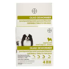 If the worm looked like spaghetti. Bayer Quad Dewormer Chewable Tablets For Small Dogs Dog Treatments Petsmart