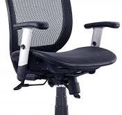 ErgoMax Fully Meshed Ergonomic Height Adjustable Office Chair w/Armrests,  42 Inch Max, Black