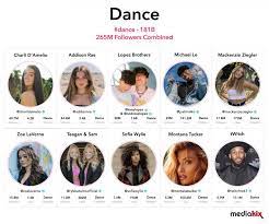 Type your answers into the answer text box if your answer is correct it will appear if it is wrong try another tiktoker. The Top Tiktok Influencers Most Followed Upcoming Categories