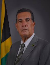 Business Operators Urged to Work With Gov't to Transform Downtown Mobay