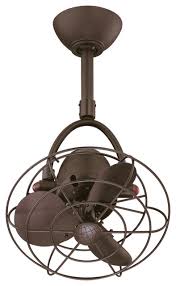 So in viewing style it vanishes completely. Diane Oscillating Directional Ceiling Fan Transitional Ceiling Fans By Matthews Fan Company Houzz