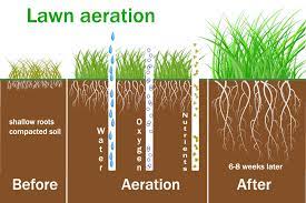 Aerification helps air and water penetrate the soil, which encourages deeper root growth and better. Aerate Your Lawn Starting At 29 Lawn Love