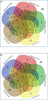 The Prevalence Of Metabolic Syndrome And Its Association With Body Fat Distribution In Middle Aged Individuals From Indonesia And The Netherlands A Cross Sectional Analysis Of Two Population Based Studies Diabetology Metabolic Syndrome