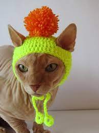 Pin On Crochet Hats For Pets