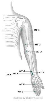 Acupressure Points Chart Acupressure Points Chart