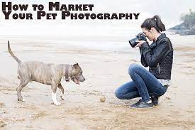 8 Tactics For Marketing Your Pet Photography Business Backdrop Express Photography Blog Pet Photography Business Pet Photography Poses Animal Photography