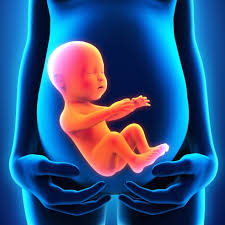 Tu bebé ya tiene 20 semanas de vida, mide alrededor de 27 centímetros y al final de esta. El Parto Que Pasa Si Tu Bebe No Esta En La Posicion Correcta