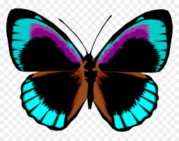 Download Vector Illustration Of Colorful Black And Blue Butterfly Bright Butterflies Png Transparent Png Vhv