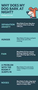 Your dog's crate cannot be used as punishment. 11 Reasons Why Your Dog Barks At Night