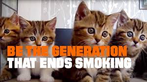 Can Smoking Kill Cat Videos A Bold Public Health Ad Says Yes Shots Health News Npr