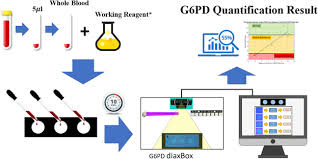 Image result for G6PD Deficiency Detection
