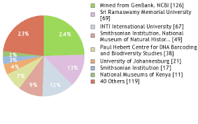 Image result for Hibiscus mastersianus