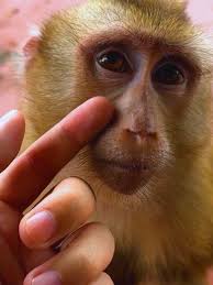 CLAIM it /🙂🙂 Ten Unknown Facts About #BMW 1. Founding and History: BMW,  Bayerische Motoren Werke AG, was founded in 1916 in Munich, Germany,  initially producing aircraft engines. The company transitioned to