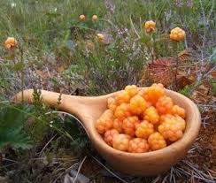 Hjortron Cloudberry By Peter Rijs Tags Berries Cloudberries Food Hjortron Lapland Nature Outdoor Swedish Food Frutas Y Vegetales Frutas Vegetales