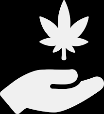 Louisiana marijuana card is here to help! Get A Louisiana Medical Marijuana Card Online Cannabisrxhealth