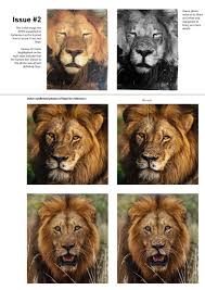 Alleged underworld boss nafiz modack was arrested in cape town on thursday. Permitting Authority Shows Parliament Photo Of Dead Lio