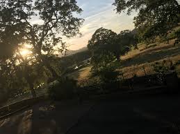 View From Mansion El Dorado County Estates Mansions