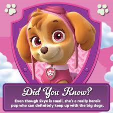 280 likes 7 comments paw patrol live pawpatrollive on instagram meet skye the teams flying pup see skye an paw patrol skye paw patrol the big dog