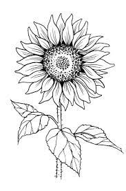 Pin By Carrie Earnhardt On Craft Ideas Sunflower Drawing Embroidered Canvas Art Flower Drawing