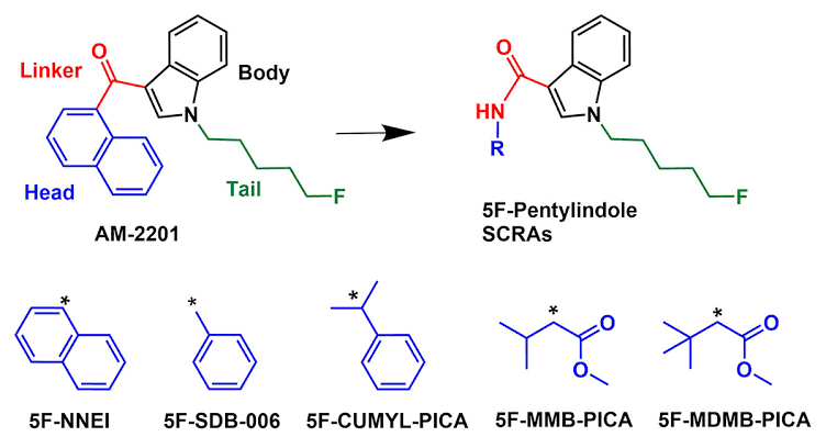 Structural lineage diagram mapping 5F-Pentylindole synthetic cannabinoid receptor agonists (SCRAs), AI generated
