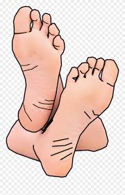 Cartoon Feet Clipart Free Clip Art Images Feet Clipart Png Download 46932 Pinclipart 'my feet are killing me. cartoon feet clipart free clip art