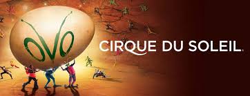 Cirque Du Soleil Ovo Nycb Live
