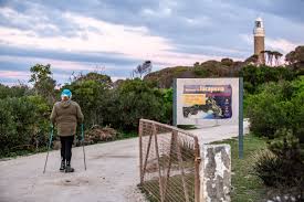 Image result for Warneckea walikalensis