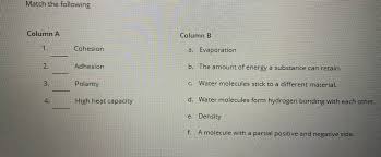 C the buoyant force is the same on each, since both fish have same volume so displace the same amount of water. Why Do Water Molecules Stick Together Answers Com